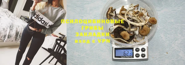 гидра Вяземский
