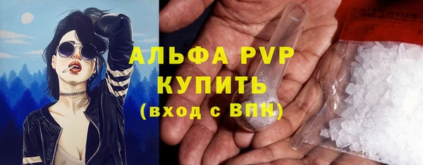 гидра Вяземский