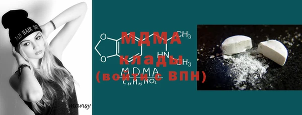 гидра Вяземский