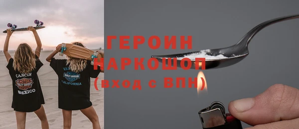 гидра Вяземский