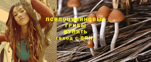 a pvp Горняк