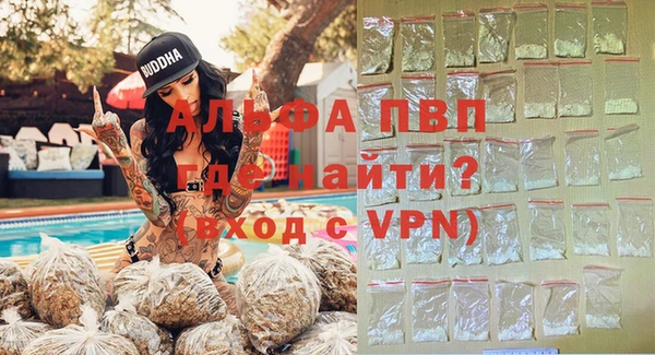гидра Вяземский