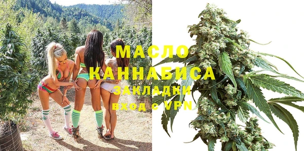 гидра Тында