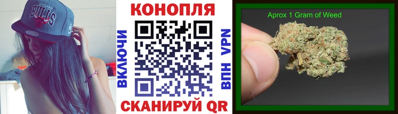 Шишки марихуана сатива  Елабуга 